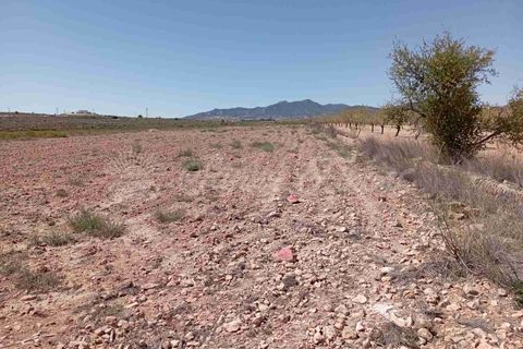 Helårsgrund i Pinoso, Alicante, Pinoso - € 39.000 | Ref: SF0515 - foto 9